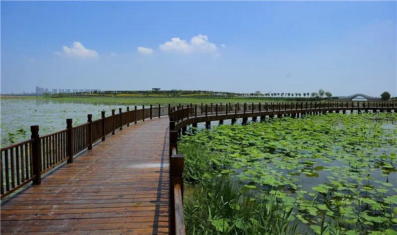 东丽区有发展吗,天津东丽区为什么没发展