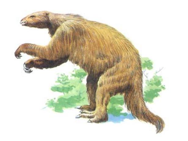 鬼吹灯神秘生物排行,鬼吹灯之怒晴湘西生物