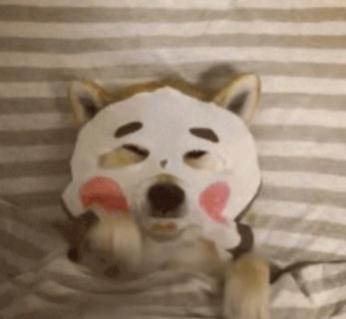 蜂王浆睡眠面膜推荐,蜂花睡眠面膜