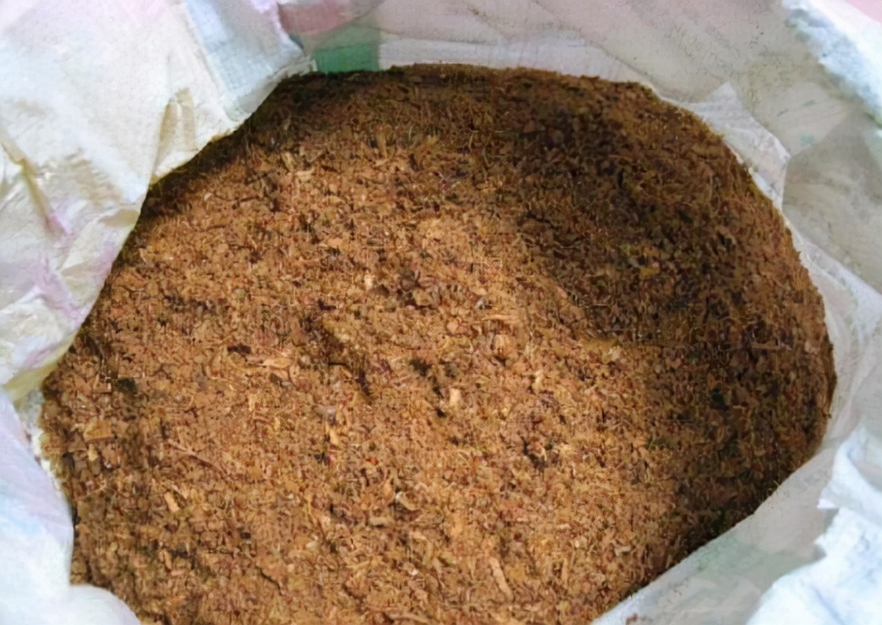 越南导游买沉香,女人去越南买沉香木