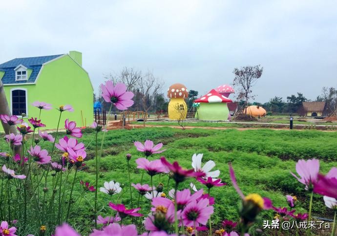 珠海斗门区有哪些旅游景点,斗门区景点