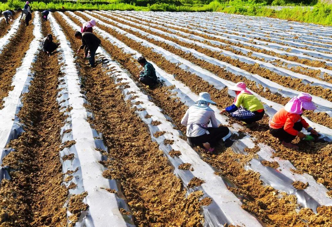 一批新规明起实施,一批新规将于8月起实施