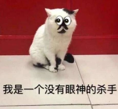 丑猫大赛视频完整版,2020年丑猫大赛看看丑到你了没