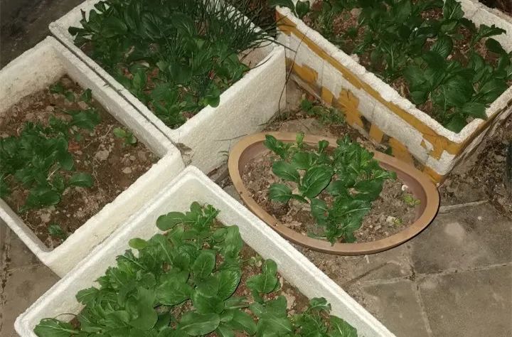 顶楼跟顶楼到底买哪个好,房子买顶楼有哪些缺点和优点