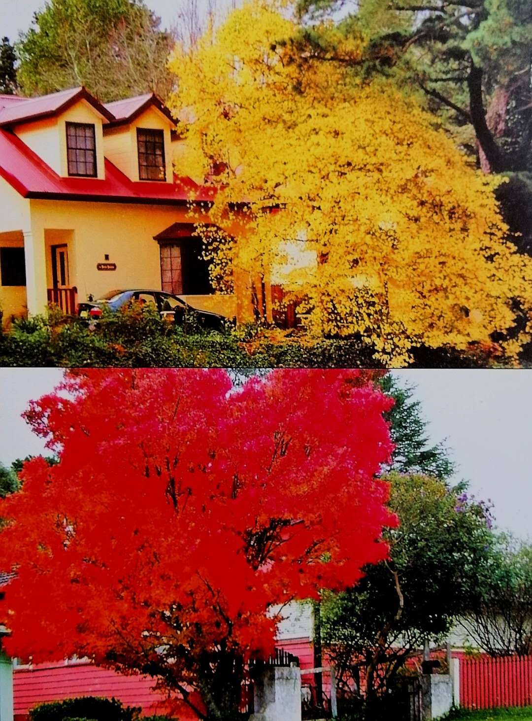 陈世豪摄影集《心弦》部分作品分享