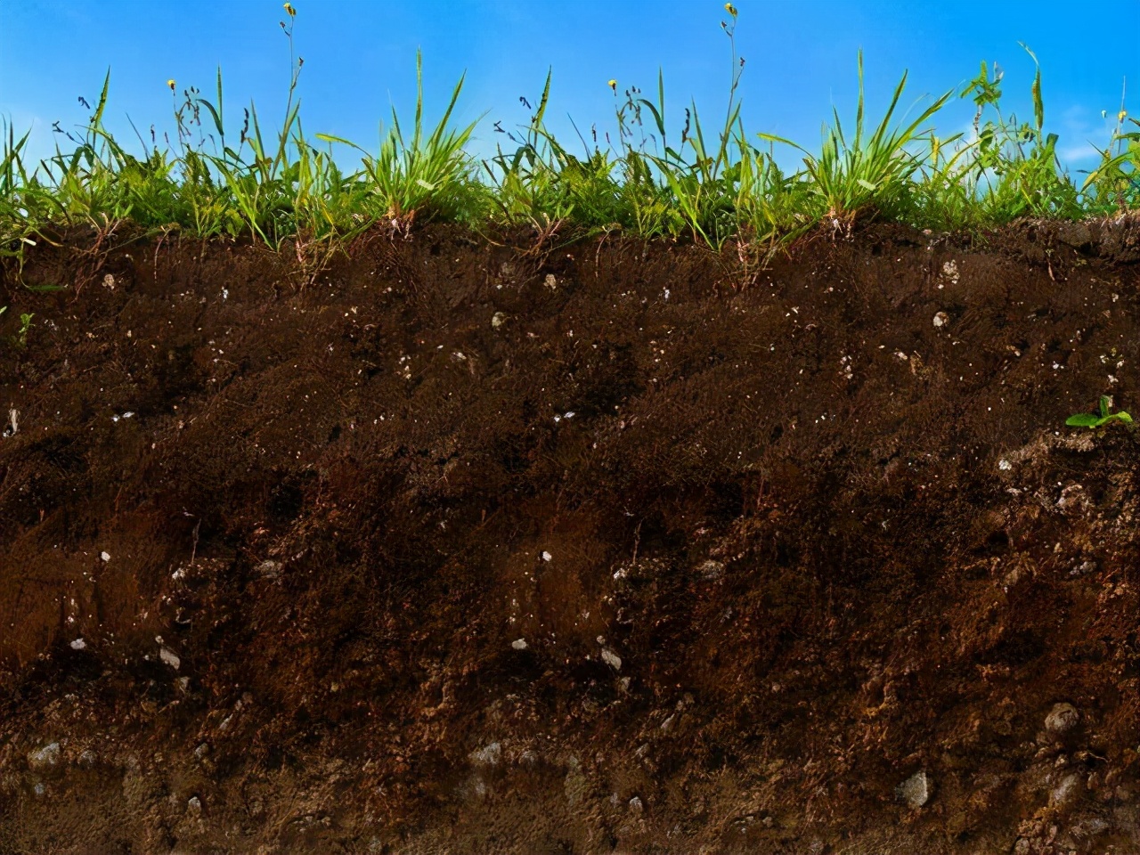 想要养好花就得配好土,想要养好每一束花