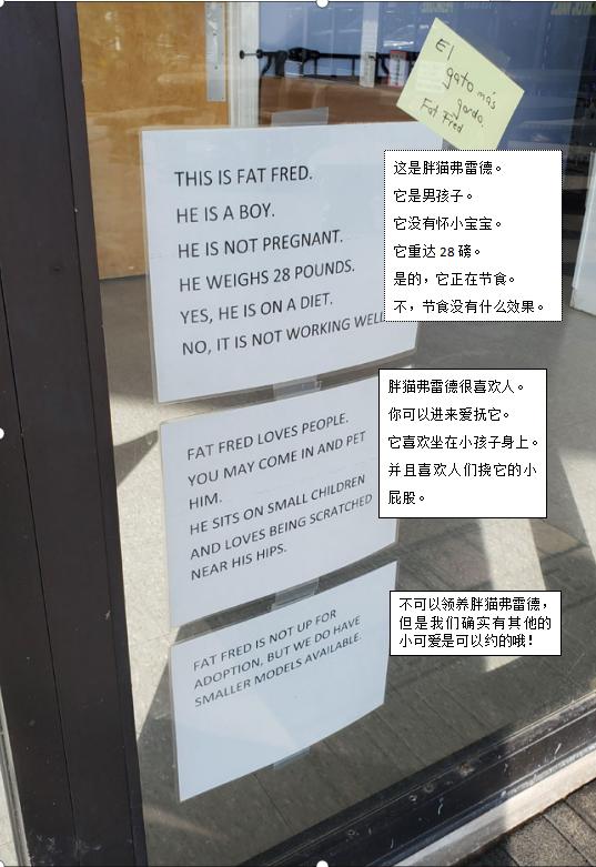 胖猫搞笑图片,胖猫搞笑的视频