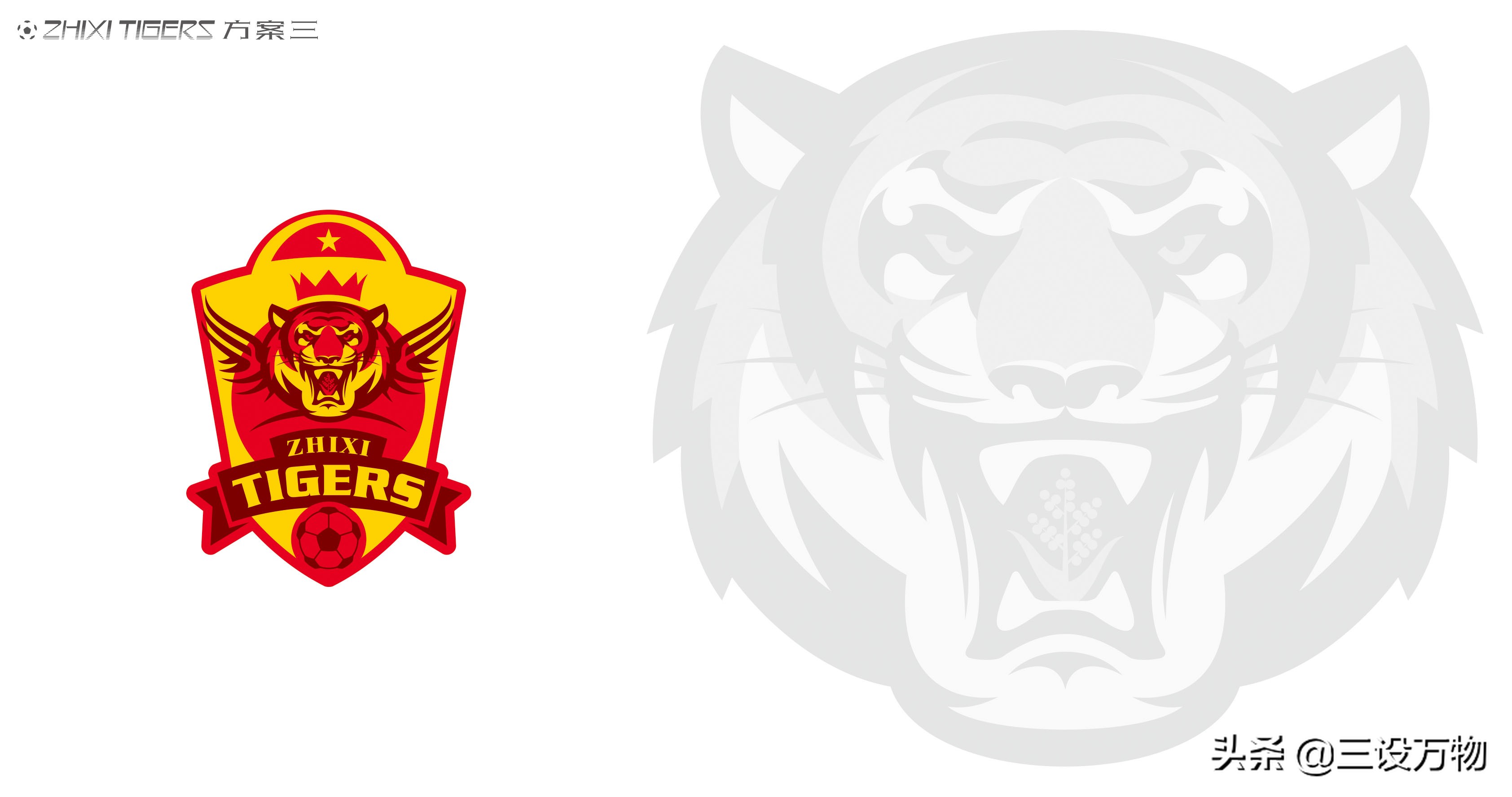 三设万物|ZHIXITIGERS足球俱乐部形象设计