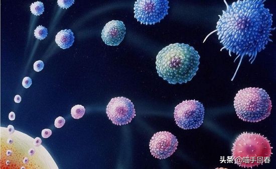 猫咪身体发热呕吐,猫咪身体很热又拉肚子