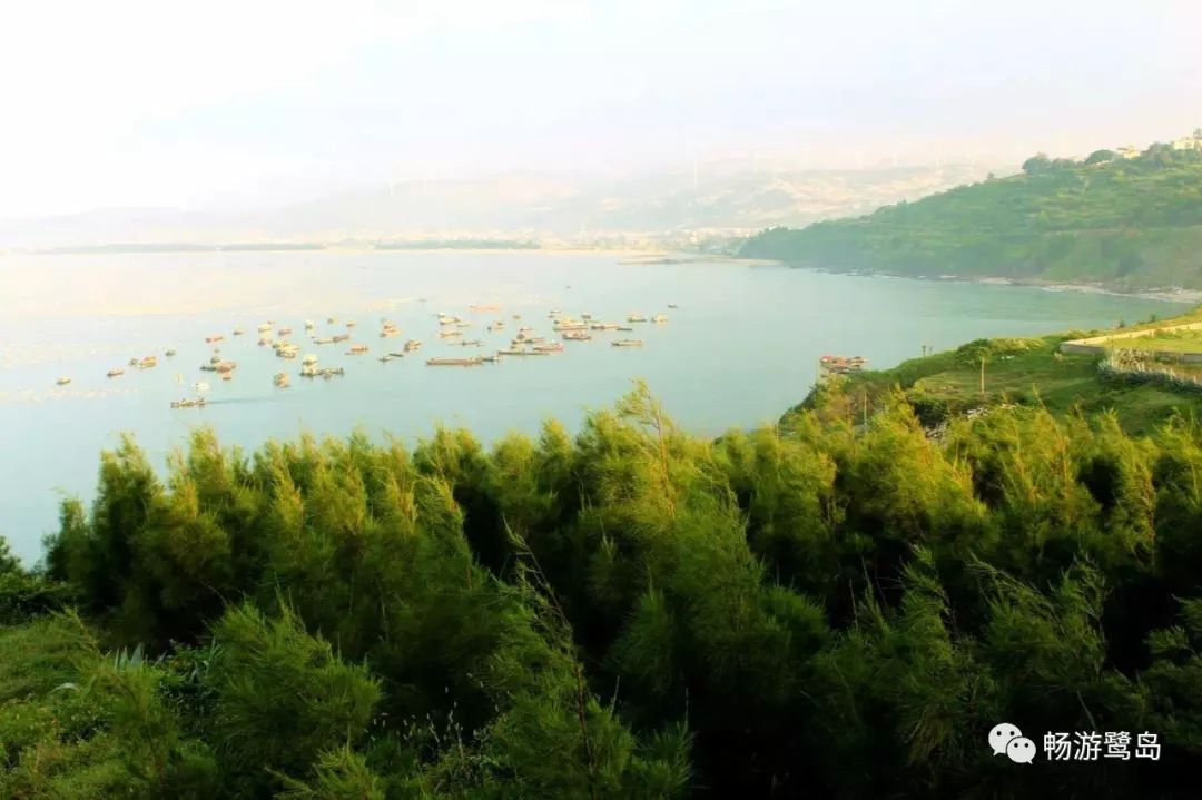 厦门旅游年卡有哪些景点可以玩,厦门旅游必去十大景点曾厝埯