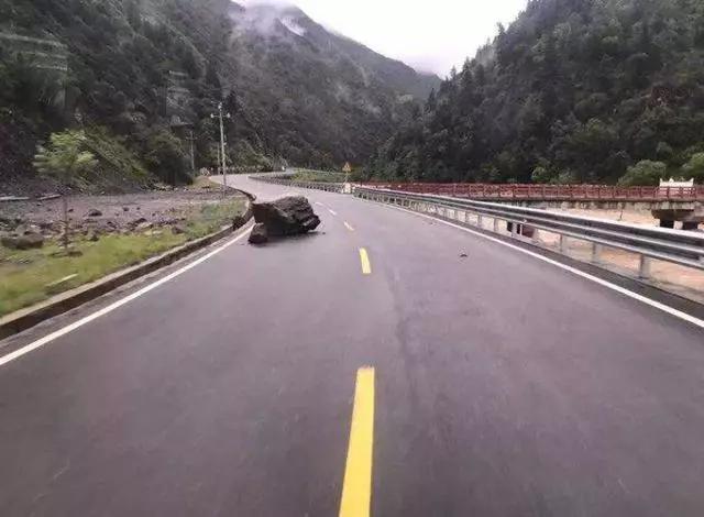 开车遇到动物如何避险,在高速上遇到大型动物该怎么办