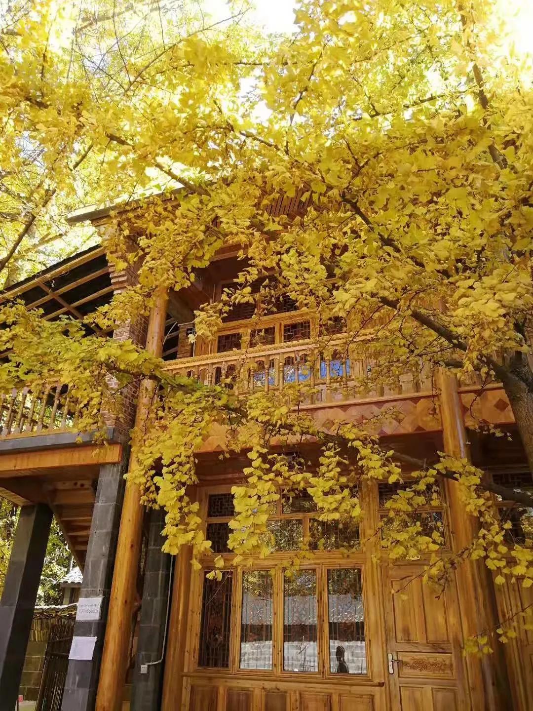 一家三口在大理租房,一家三口的田园生活