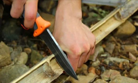 生存小技巧钻木取火,荒野生存取水技巧