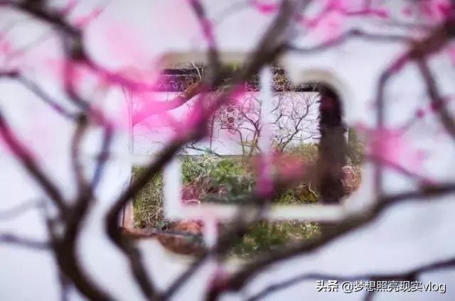 如此才华横溢的打油诗,如此才华横溢