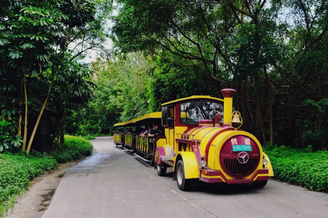 广州长隆最省钱玩法,最实惠广州长隆攻略