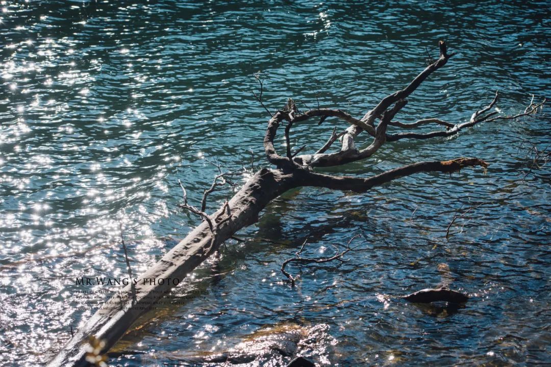 《有翡》取景地曝光！这个海拔3700，现场配救护车的地方要火