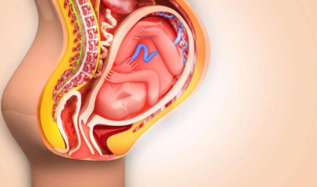 孕妈妈要注意及时补充钙质,孕妈妈需要补充什么营养