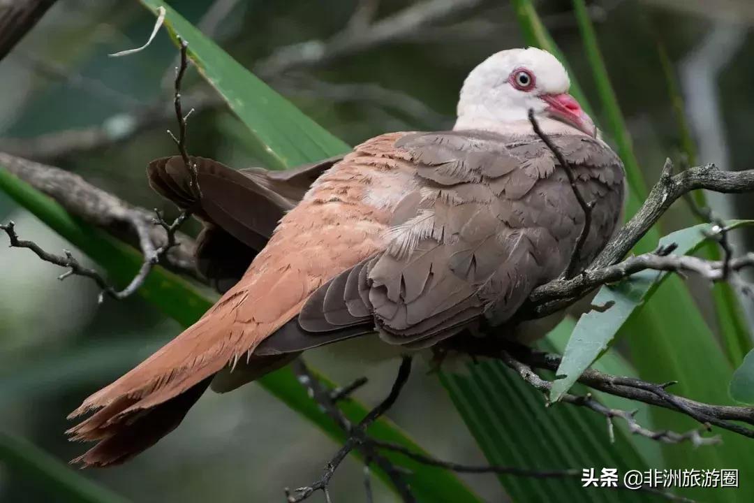适合夏天去的免签海岛,4个免签的绝美海岛