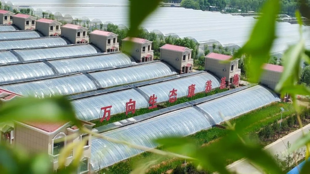 阳曲县万向农业科技有限公司,万向传动轴有限公司招聘