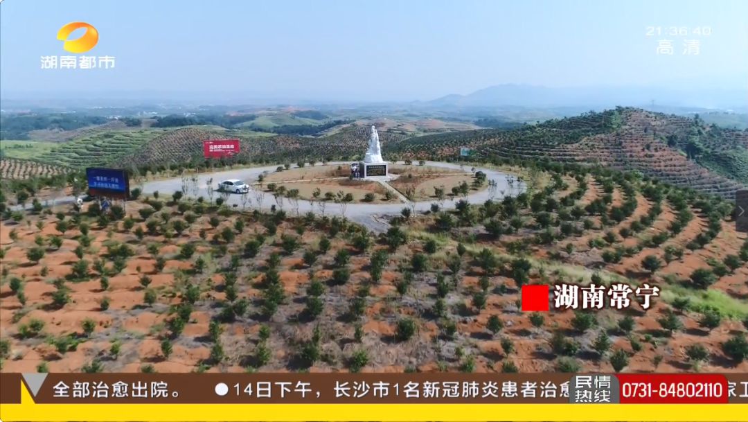 湘村发现|湖南这个地方有好东西，“淌金流银”！