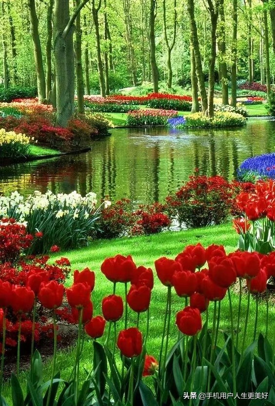 婚姻是造就的还是人为的,婚姻到底是原配好还是组合好