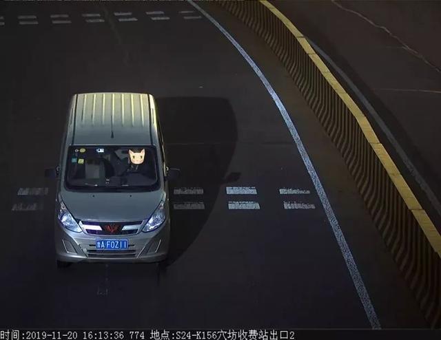 曝光!鲁B06B9V被罚款150元记2分!只因开车看手机