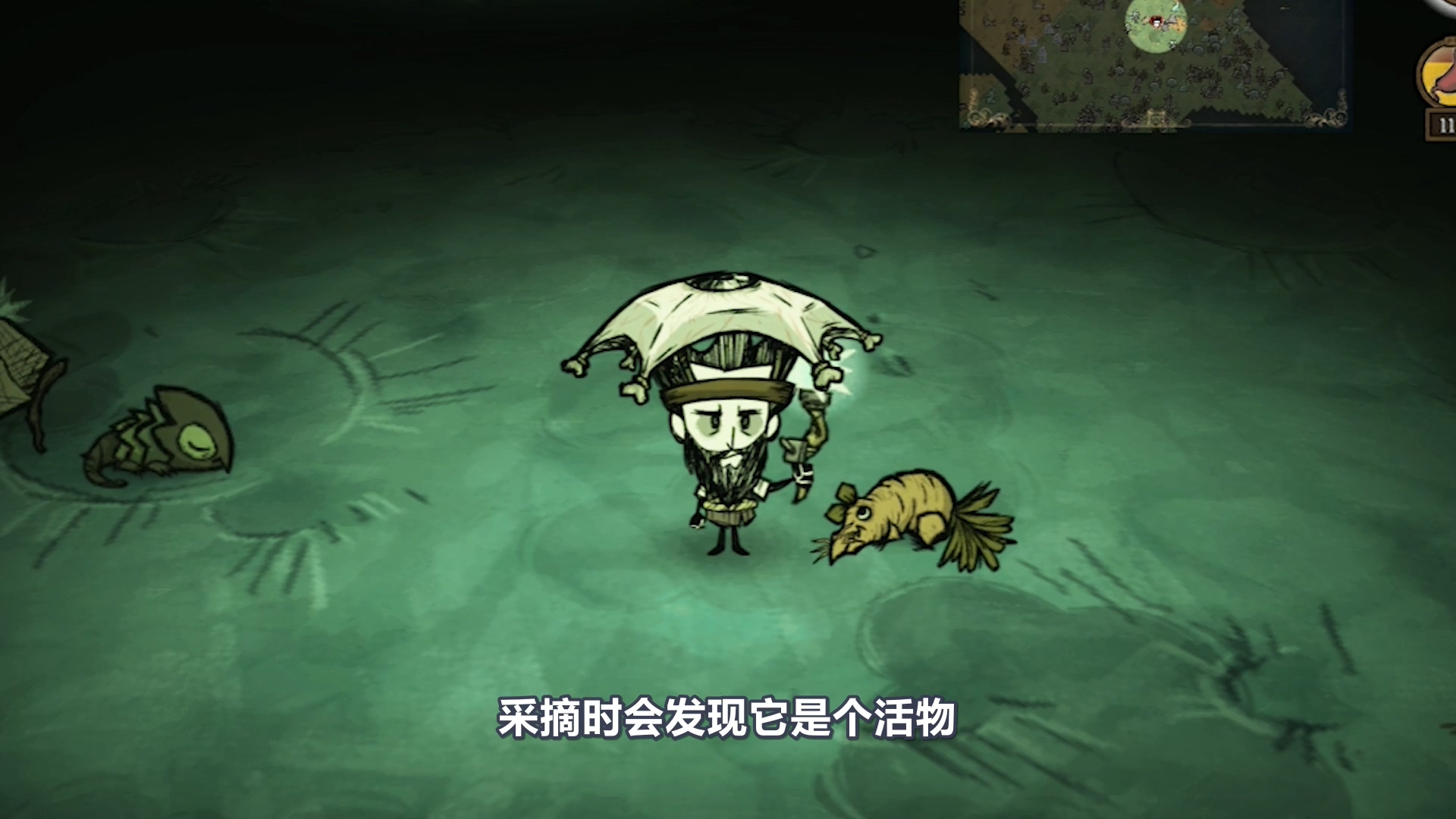 饥荒月岛攻略详细,饥荒月岛科技内容