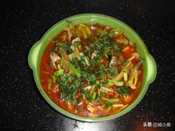 牙齿特别尖的鱼叫什么鱼,有牙三角刺的鱼