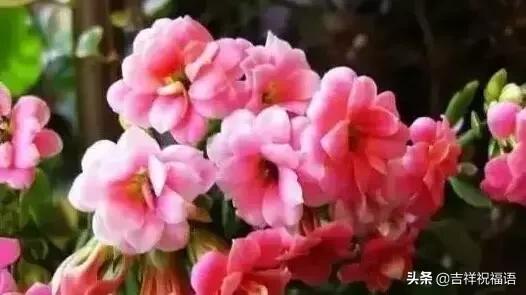 父亲节送给父亲什么礼物最好,父亲节一首好听的歌送给父亲