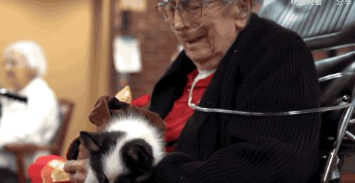 93岁奶奶恶搞27岁孙子，一夜爆红！1300万网友围观：奶奶太坑了