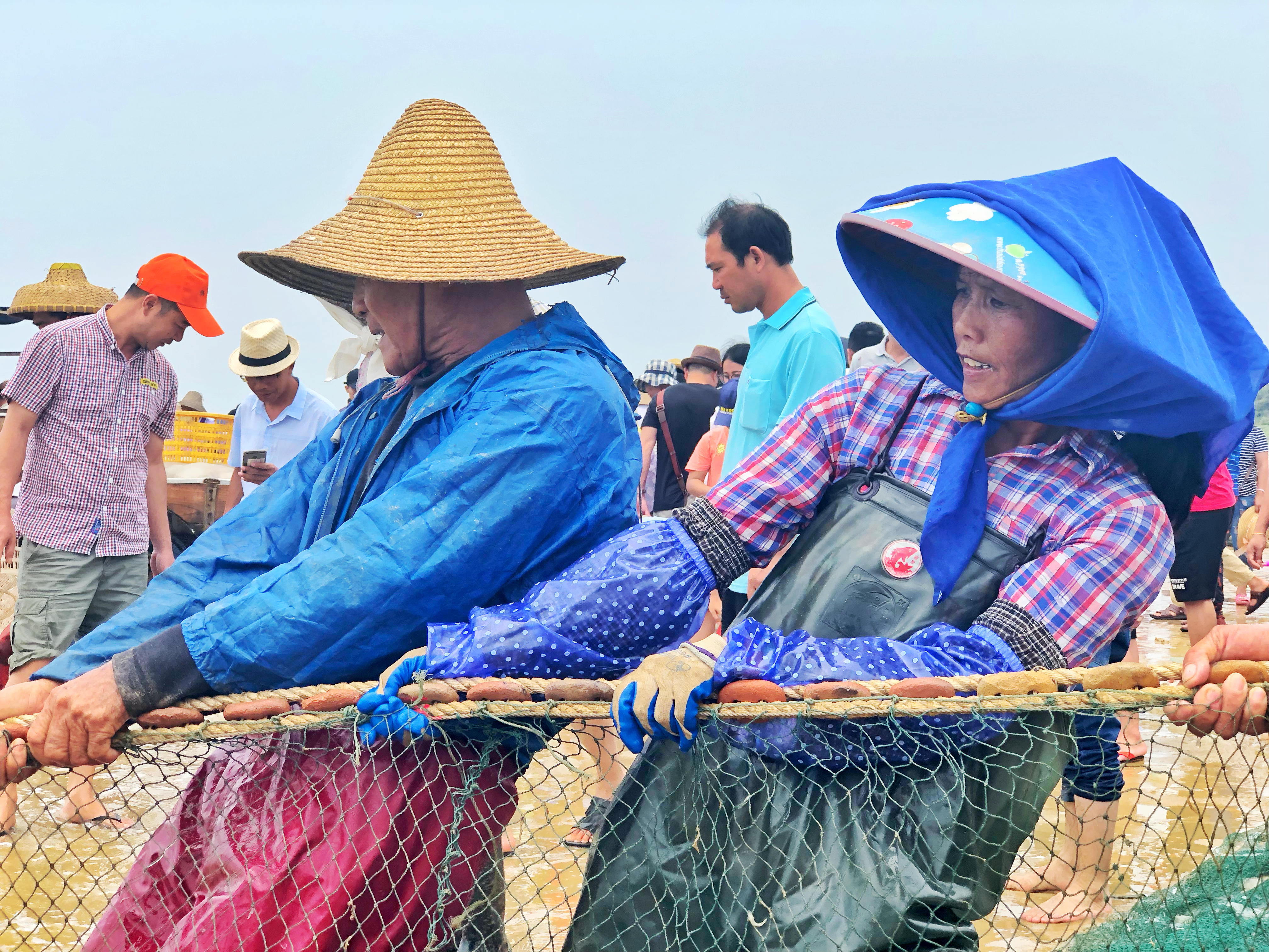 吴阳海鲜直播,吴阳金海岸出海直播