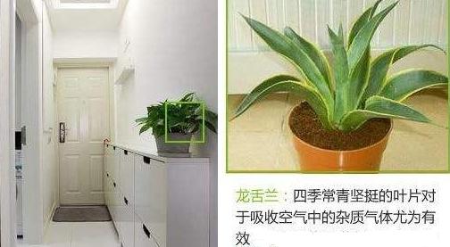 装修后怎么除甲醛最快最有效,装修完急住怎么除甲醛最好