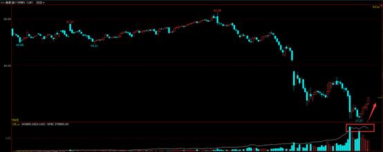 油市震荡行情如何破局,油脂套利