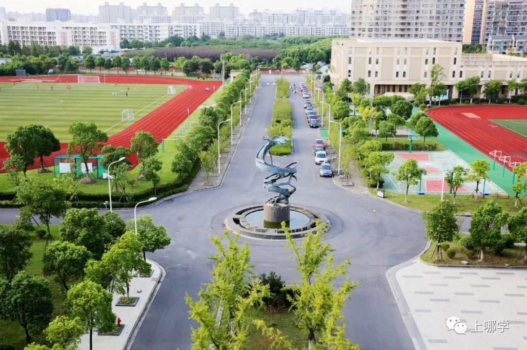 上海最好的十大民办初中,上海各区的顶级初中和一流初中