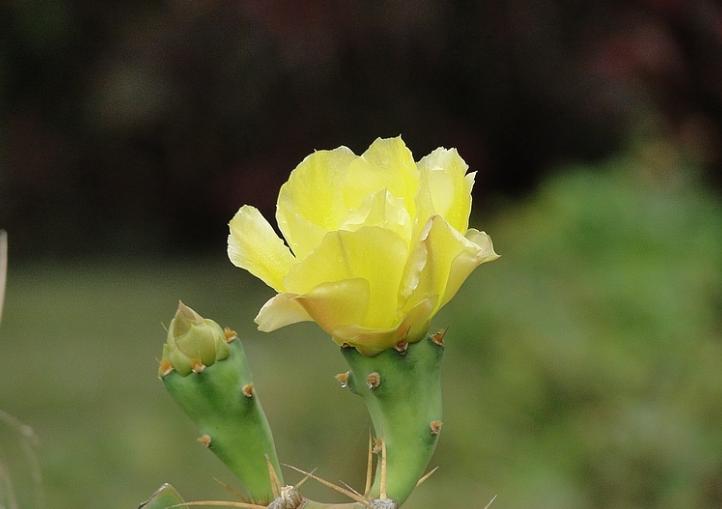 软弱会有什么后果,软弱无度的人的表现