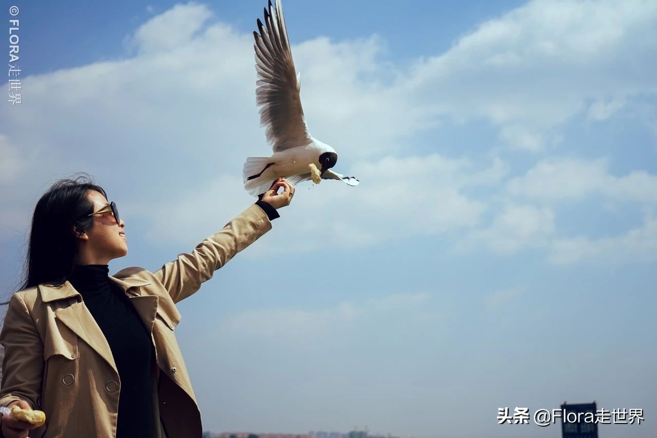 建水罗平元阳自由行攻略,云南元阳县旅游攻略路线