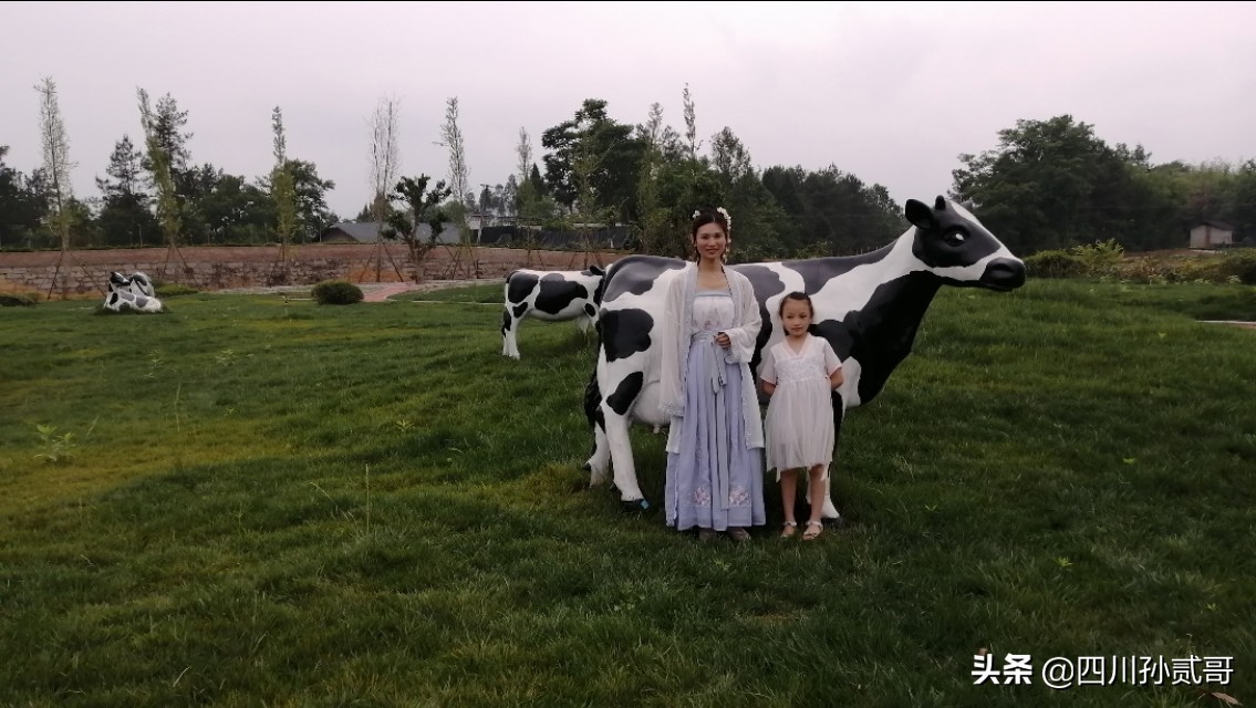 雪宝奶牛场,参观雪兰牛奶工厂心得体会