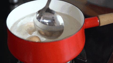 白皮鸡蛋和红皮鸡蛋营养区别,红皮鸡蛋vs白皮鸡蛋哪种更营养