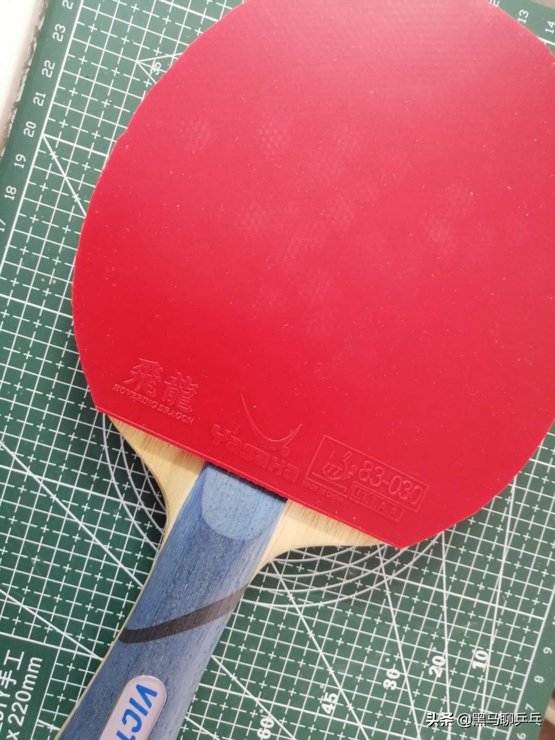 每周乒器观察57:大胖的“度数”,金标Vis,飞龙