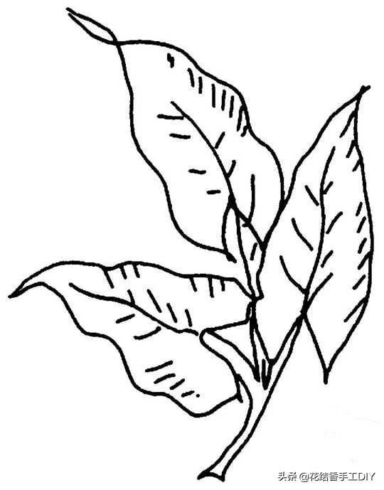 怎么学刺绣教程简单易学,刺绣技巧叶子的刺绣针法