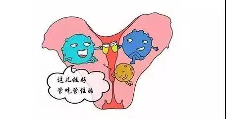 白带异常外阴瘙痒腰骶疼痛,白带多外阴瘙痒肿疼怎么回事