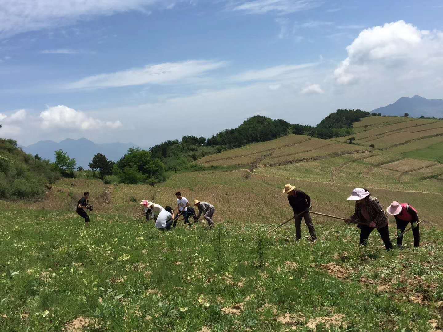 返乡农业创业哪里最好,农业创业到底有多难