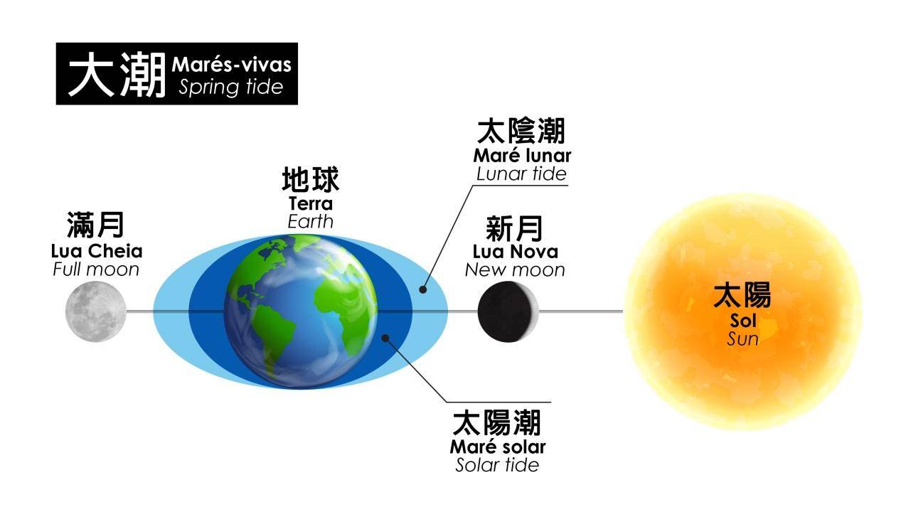 如果月球不见了地球会怎样,如果月球从未形成会怎么样