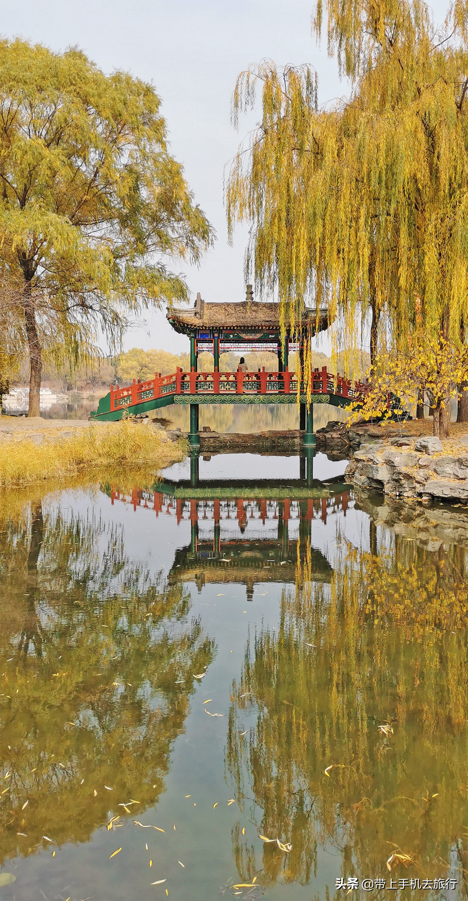 选择大于努力图片动画,选择大于努力坚持创造奇迹的图片