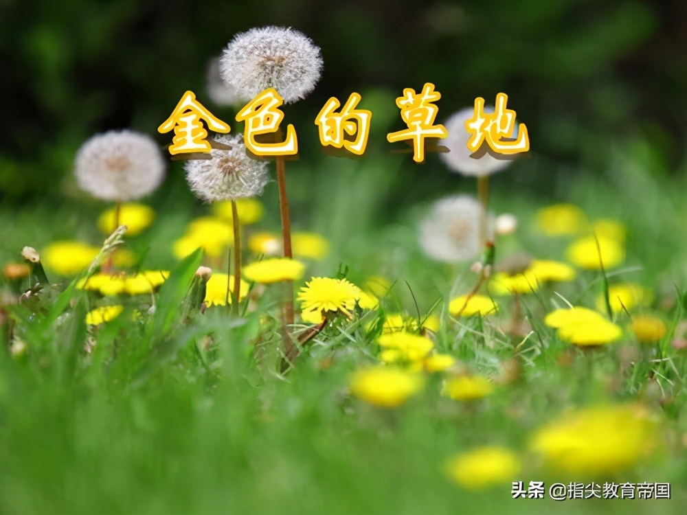 三年级语文第五单元知识重点总结,三年级语文第五单元重点知识考点