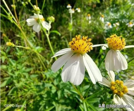 opporeno2系列测评,opporeno2测评开箱