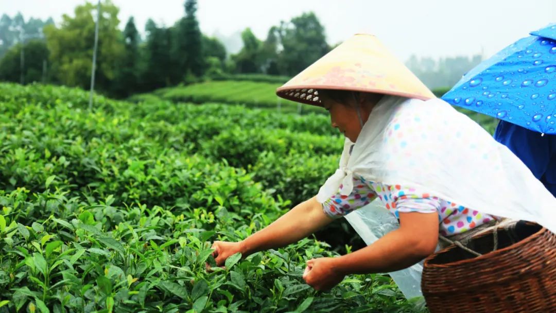 四川绝美风景酒店,四川旅游十大必去酒店推荐