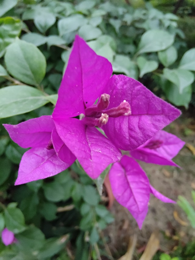 上联绝句,千古绝句至今无人对出下联