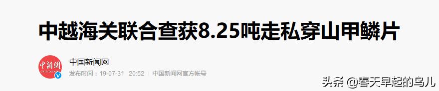穿山甲报应,报应啊