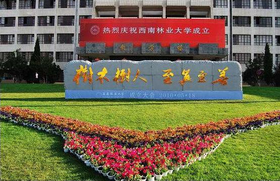 西南地区有几所985和211的大学,最迷惑人的四所大学